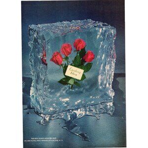 1952 Four Roses Bourbon Vintage Print Ad Fozen Ice Block Cooling Idea Wall Art